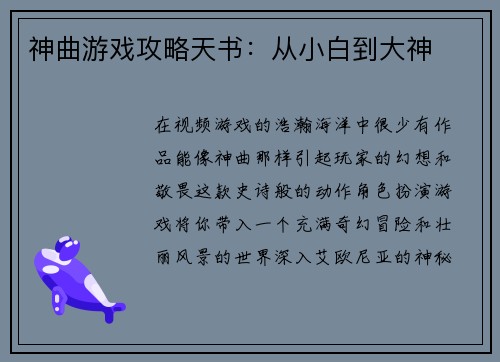 神曲游戏攻略天书：从小白到大神
